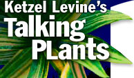 Talking Plants